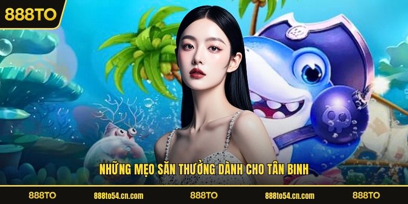 Những mẹo săn thưởng dành cho tân binh